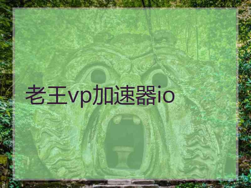 老王vp加速器io